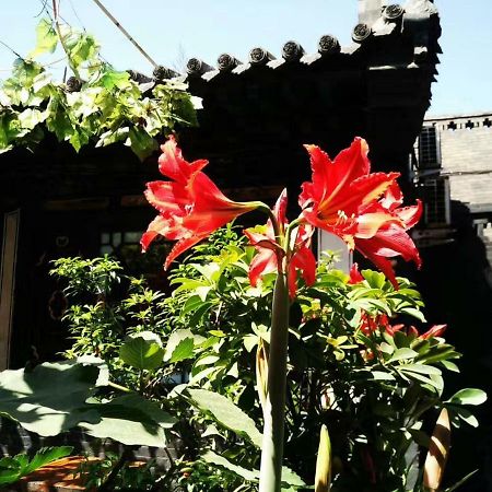 Pingyao Tian Yi Hostel Exterior foto